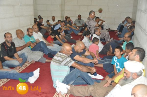 bazsalah lud 712 (8).JPG